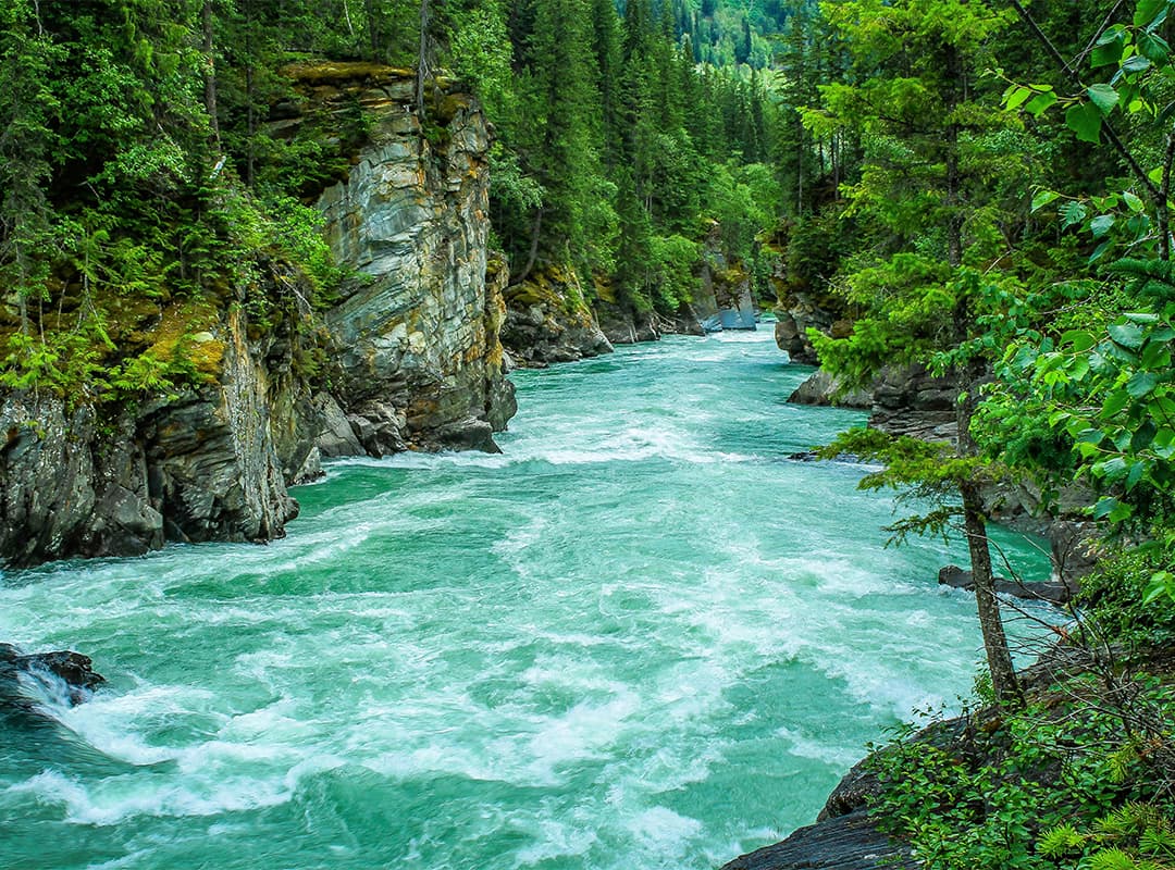 Great Places to See River Otters in the United States